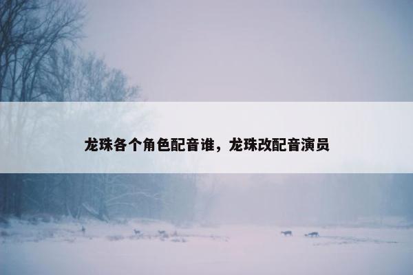 龙珠各个角色配音谁，龙珠改配音演员