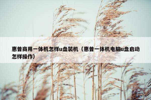 惠普商用一体机怎样u盘装机（惠普一体机电脑u盘启动怎样操作）