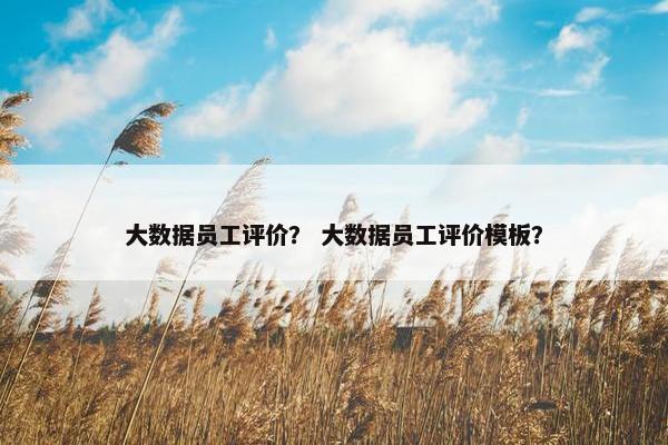 大数据员工评价？ 大数据员工评价模板？