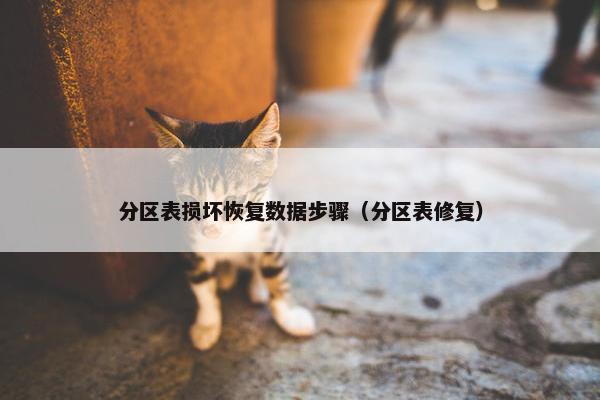 分区表损坏恢复数据步骤（分区表修复）