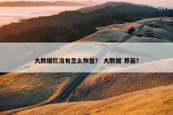 大数据栏没有怎么恢复？ 大数据 界面？