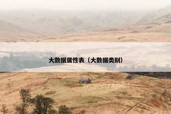 大数据属性表（大数据类别）