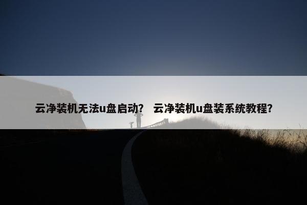 云净装机无法u盘启动？ 云净装机u盘装系统教程？