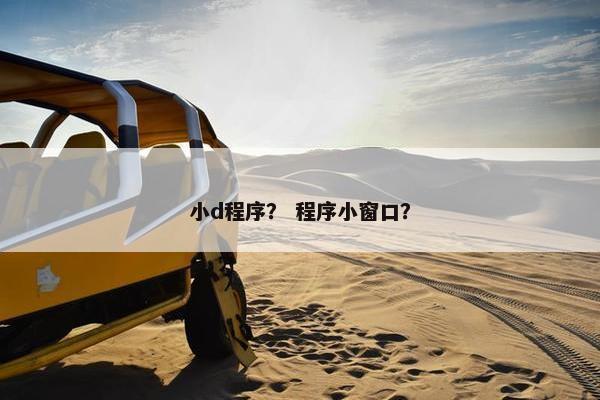 小d程序？ 程序小窗口？