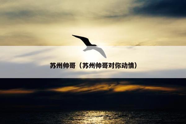苏州帅哥（苏州帅哥对你动情）