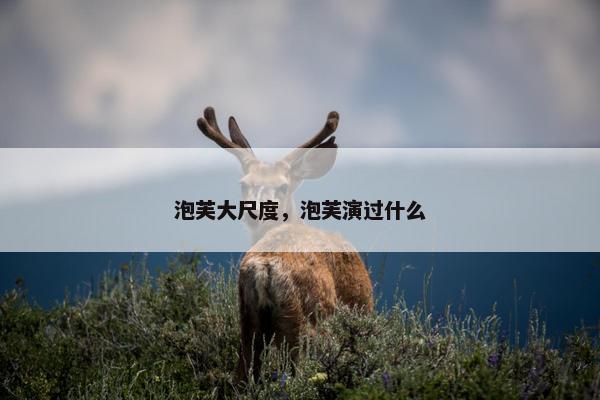 泡芙大尺度，泡芙演过什么