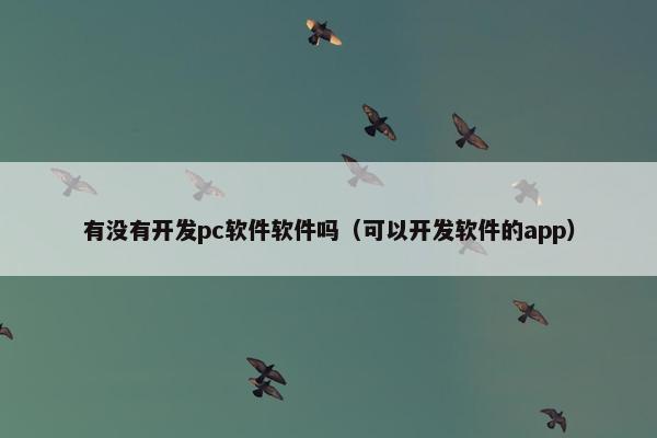 有没有开发pc软件软件吗（可以开发软件的app）