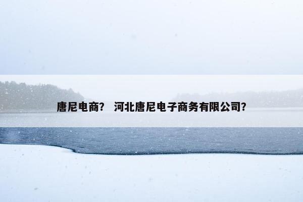 唐尼电商？ 河北唐尼电子商务有限公司？