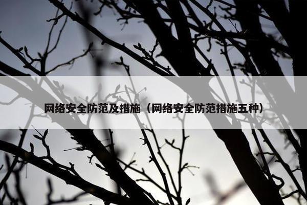 网络安全防范及措施（网络安全防范措施五种）