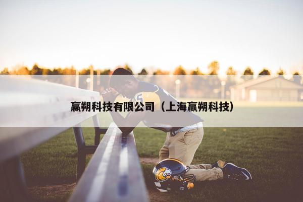 赢朔科技有限公司（上海赢朔科技）