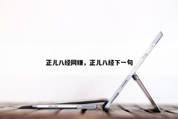 正儿八经网赚，正儿八经下一句