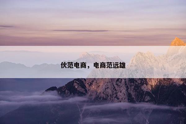 伙范电商，电商范远雄