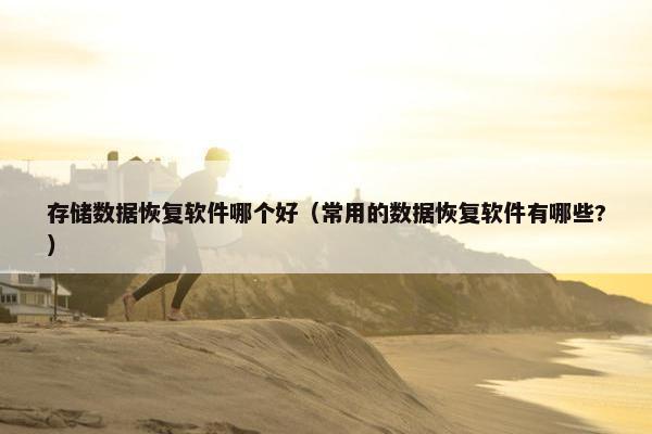 存储数据恢复软件哪个好（常用的数据恢复软件有哪些?）