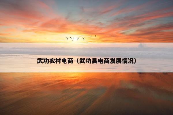 武功农村电商（武功县电商发展情况）