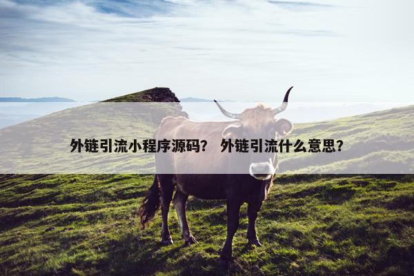 外链引流小程序源码？ 外链引流什么意思？
