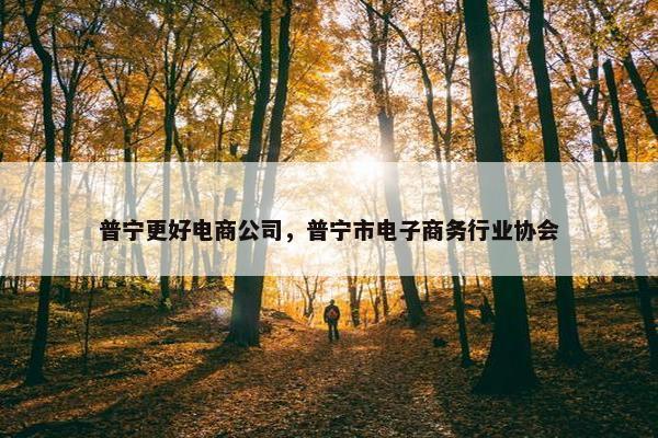 普宁更好电商公司，普宁市电子商务行业协会