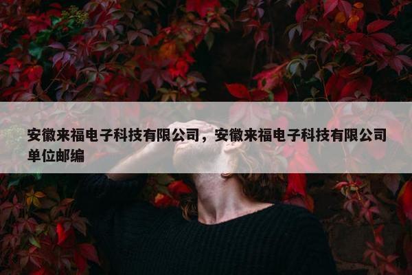 安徽来福电子科技有限公司，安徽来福电子科技有限公司单位邮编
