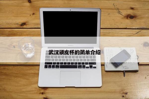 武汉顽皮杯的简单介绍