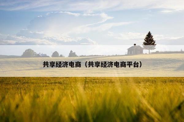共享经济电商（共享经济电商平台）