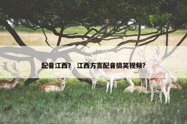 配音江西？ 江西方言配音搞笑视频？