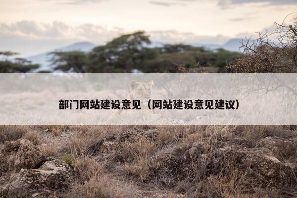 部门网站建设意见（网站建设意见建议）