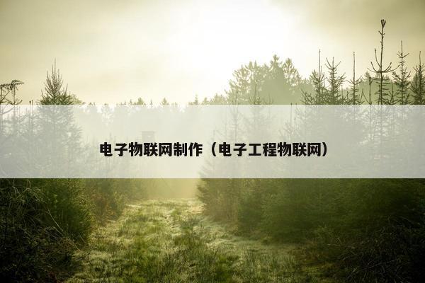 电子物联网制作（电子工程物联网）