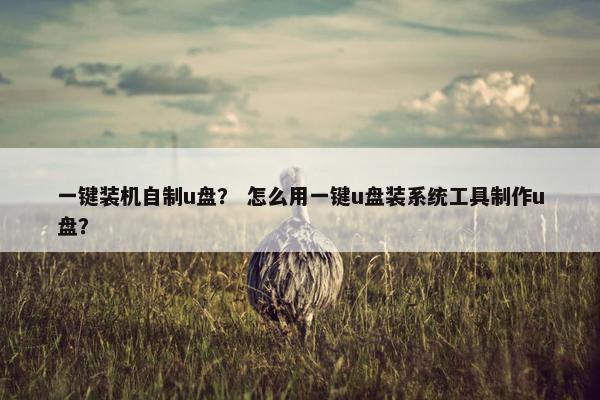 一键装机自制u盘？ 怎么用一键u盘装系统工具制作u盘？