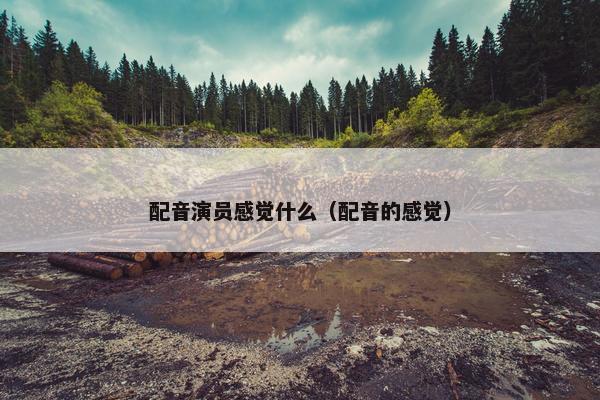 配音演员感觉什么（配音的感觉）