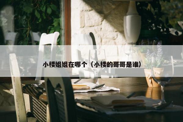小楼姐姐在哪个（小楼的哥哥是谁）