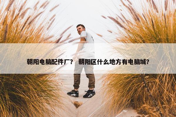 朝阳电脑配件厂？ 朝阳区什么地方有电脑城？