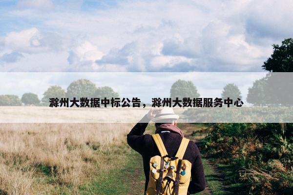 滁州大数据中标公告，滁州大数据服务中心