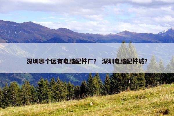 深圳哪个区有电脑配件厂？ 深圳电脑配件城？