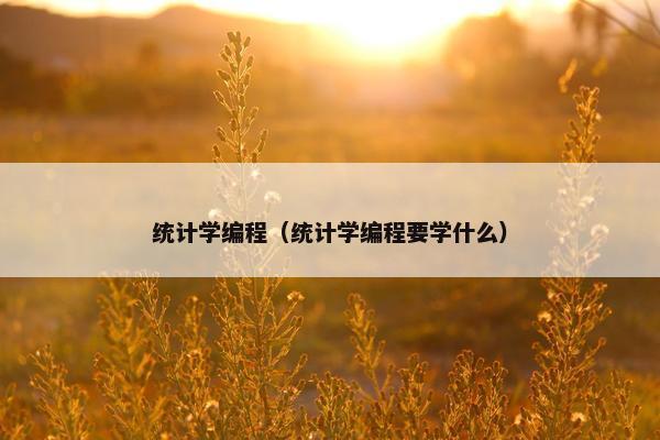 统计学编程(统计学编程要学什么) 统计学编程(统计学编程要学什么)