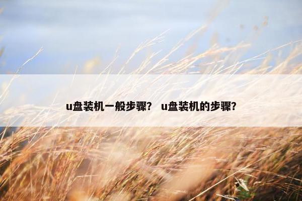 u盘装机一般步骤？ u盘装机的步骤？