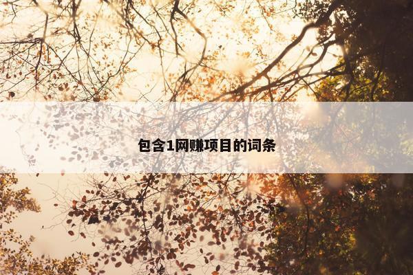 包含1网赚项目的词条