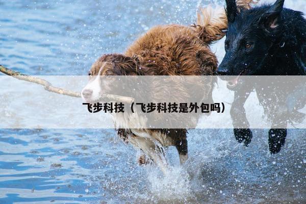 飞步科技（飞步科技是外包吗）