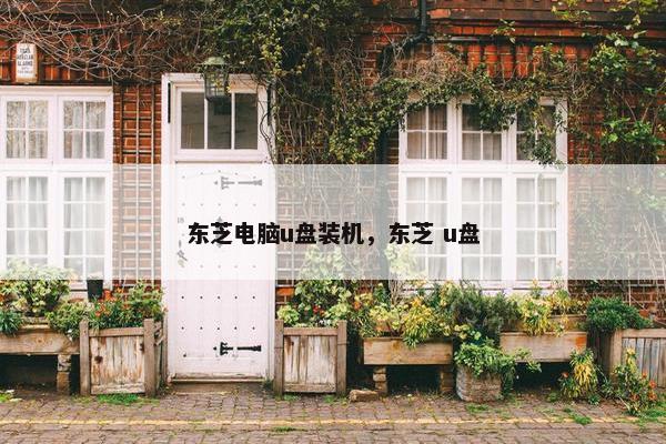 东芝电脑u盘装机，东芝 u盘