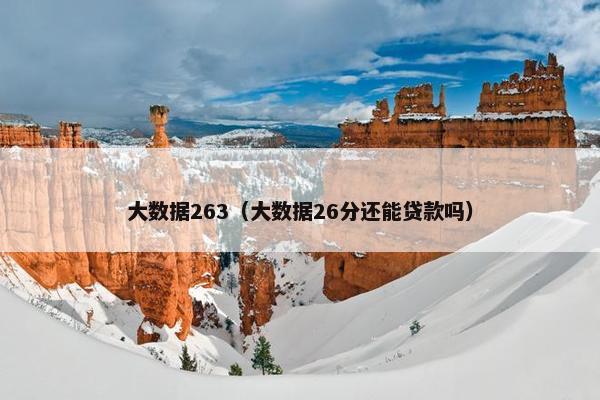 大数据263（大数据26分还能贷款吗）