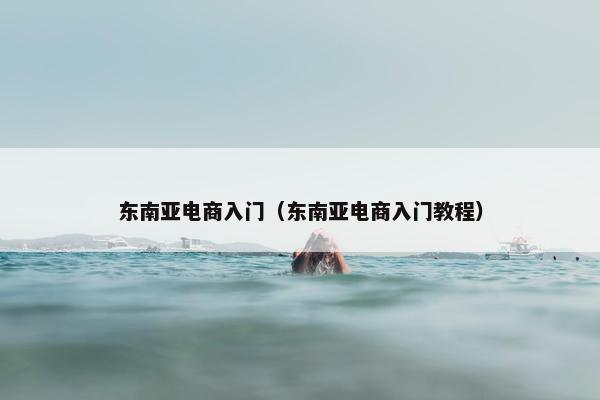 东南亚电商入门（东南亚电商入门教程）