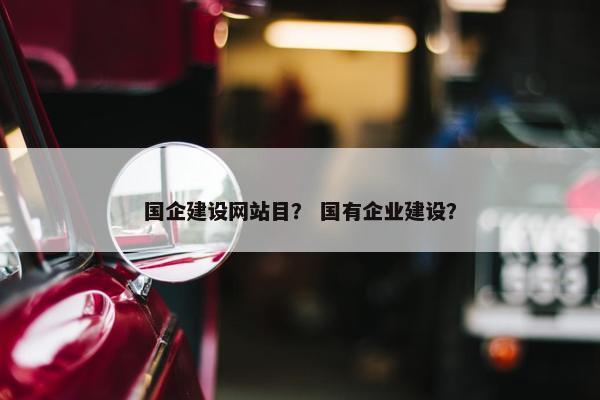 国企建设网站目？ 国有企业建设？