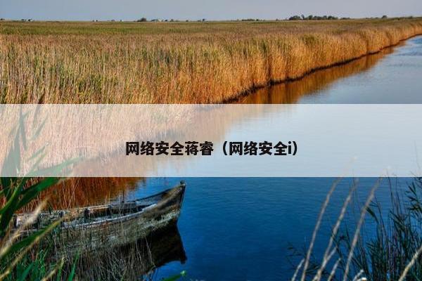 网络安全蒋睿（网络安全i）