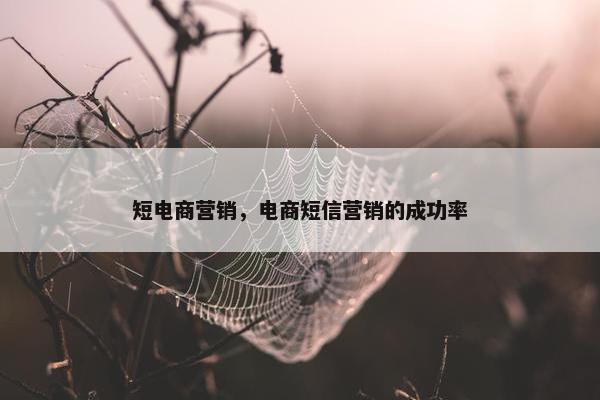 短电商营销，电商短信营销的成功率