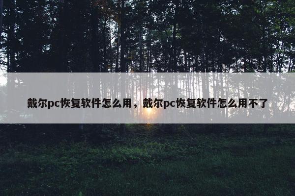 戴尔pc恢复软件怎么用，戴尔pc恢复软件怎么用不了