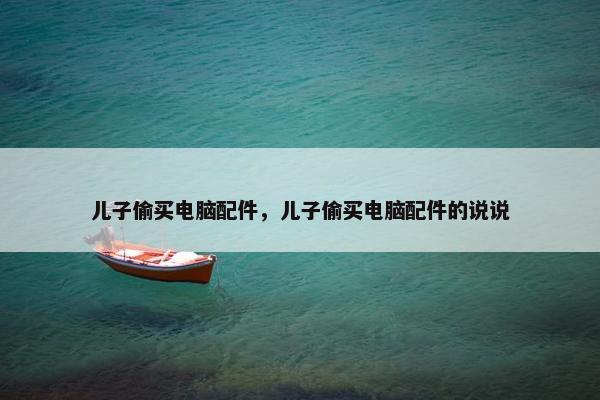 儿子偷买电脑配件，儿子偷买电脑配件的说说