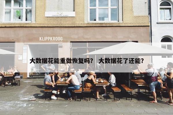 大数据花能重做恢复吗？ 大数据花了还能？