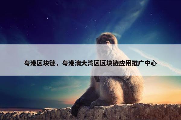 粤港区块链，粤港澳大湾区区块链应用推广中心