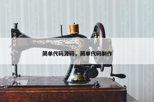 简单代码源码，简单代码制作