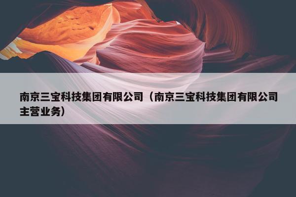 南京三宝科技集团有限公司（南京三宝科技集团有限公司主营业务）