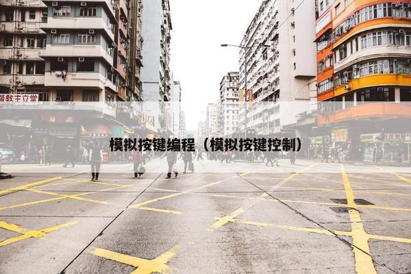 模拟按键编程（模拟按键控制）