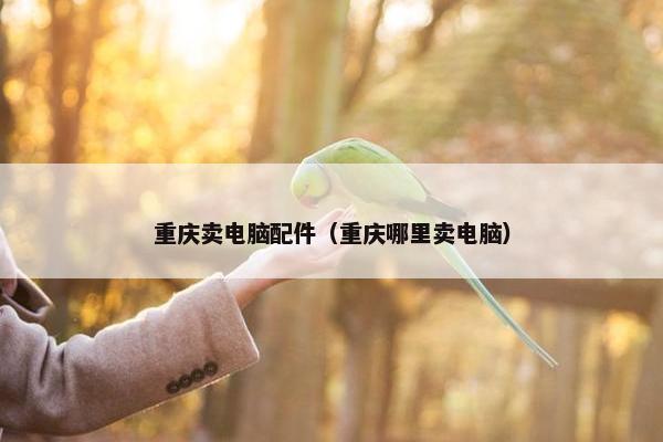 重庆卖电脑配件（重庆哪里卖电脑）